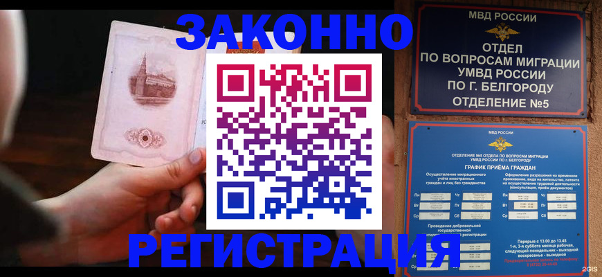 прописка 2025 в Зернограде
